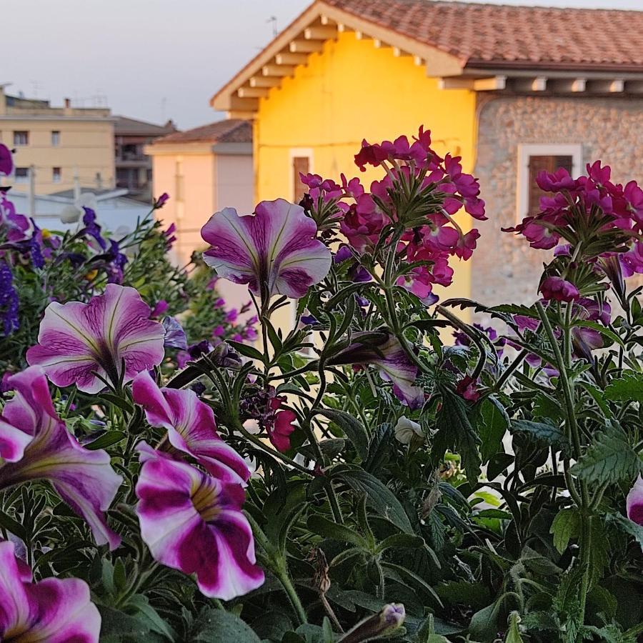 Lovely Casa Paola Villlafranca Centro Zimmer Rooms Віллафранка-ді-Верона Екстер'єр фото